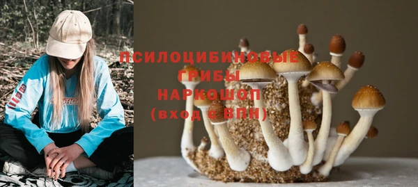 a pvp Алзамай